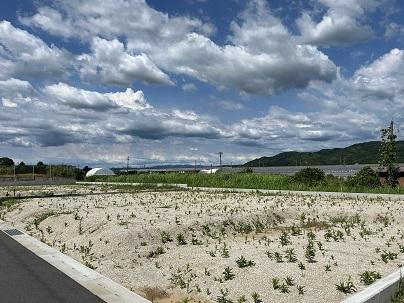 福岡県みやま市瀬高町山門 653.7万円