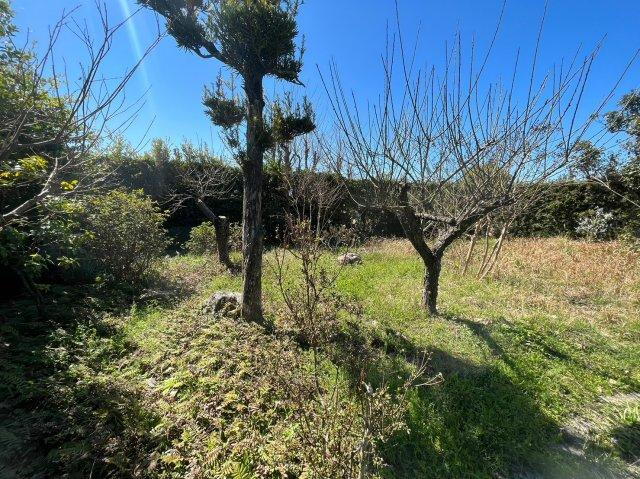 熊本県八代郡氷川町新田 土地