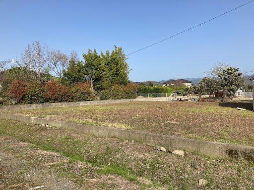 熊本県八代郡氷川町新田 土地