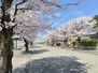 八幡分譲地　区画１ 春は桜並木が映える景観の良い分譲地です。