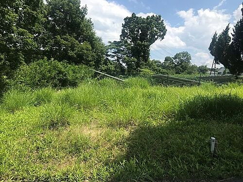 滋賀県蒲生郡日野町大字村井 土地