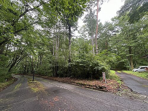 群馬県吾妻郡嬬恋村大字鎌原 土地