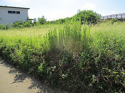 茨城県土浦市天川２丁目 土地