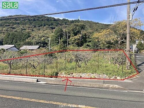 愛知県豊橋市多米町字寺門 土地