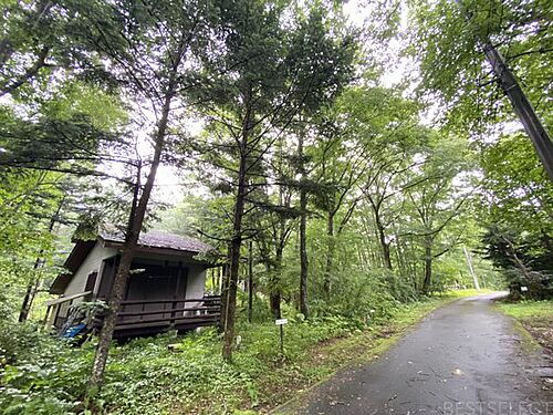 群馬県吾妻郡嬬恋村大字大前 土地