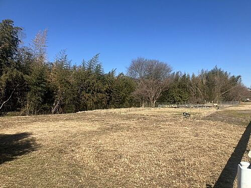愛知県岡崎市桑原町字存西田 500万円