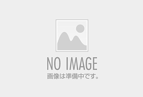 群馬県高崎市矢中町 土地