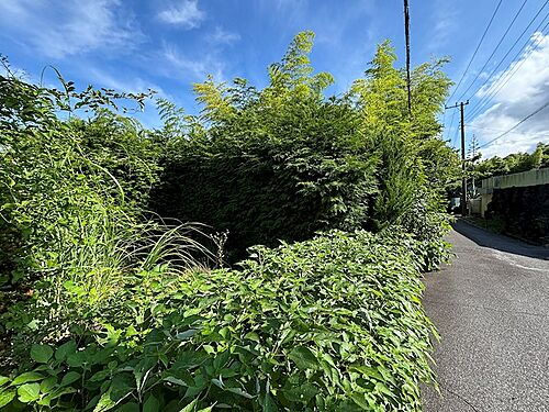 静岡県伊東市八幡野 100万円