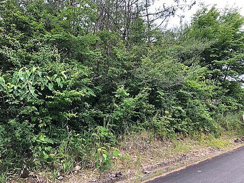 岐阜県瑞浪市釜戸町 99万円