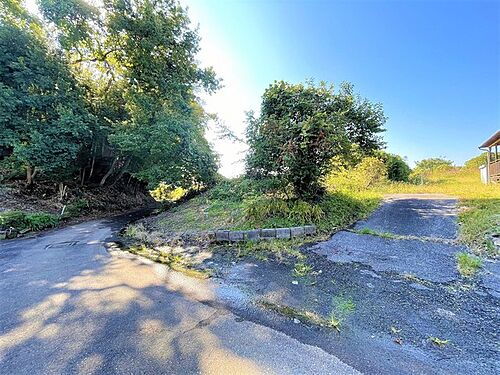 埼玉県北葛飾郡松伏町大字築比地 土地