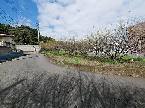 茨城県日立市森山町３丁目 土地