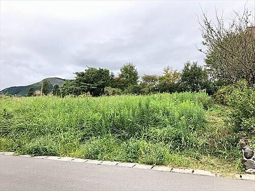 熊本県阿蘇郡南阿蘇村大字河陽 土地