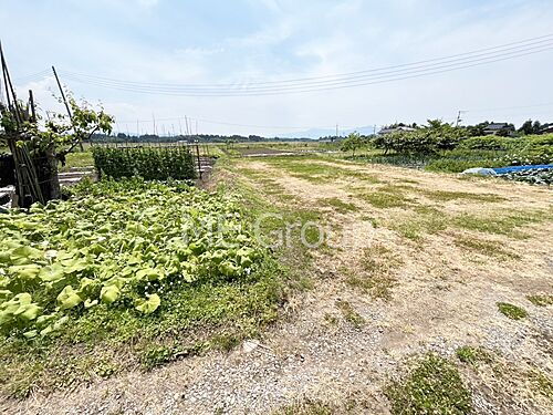 山形県鶴岡市羽黒町市野山字林中 土地