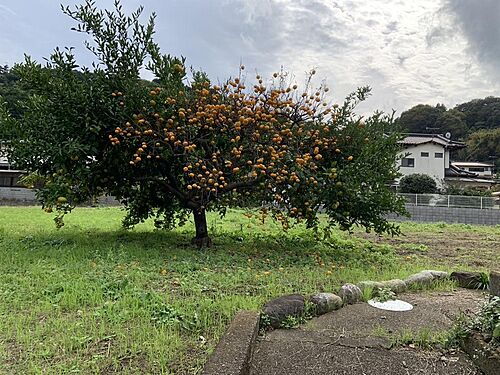 神奈川県足柄上郡山北町山北 土地