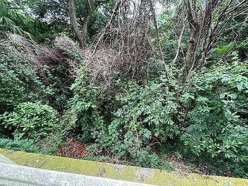 神奈川県足柄上郡山北町岸 570万円