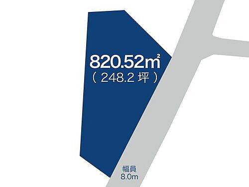 宮崎県宮崎市田野町乙 土地