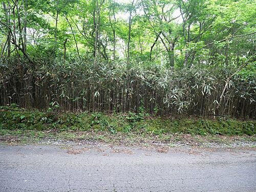 静岡県裾野市須山 100万円