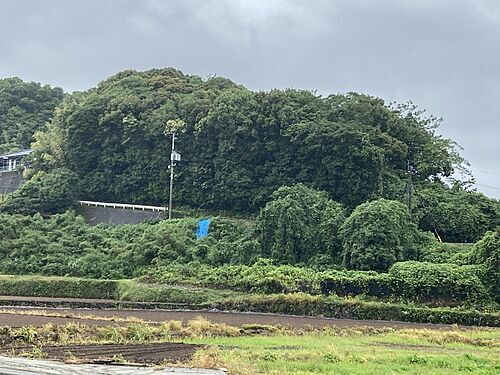 長崎県諫早市下大渡野町 土地