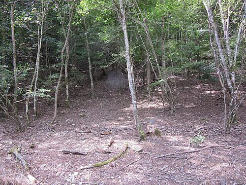 広島県山県郡北広島町川井 土地