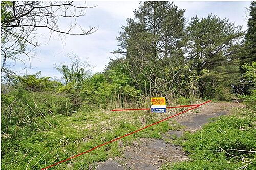 岡山県真庭市蒜山本茅部 土地