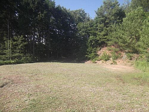 広島県神石郡神石高原町時安 土地