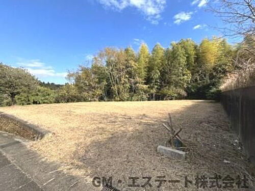 宮崎県東諸県郡国富町大字本庄 土地