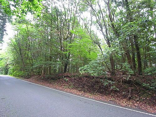 静岡県富士宮市内野 100万円