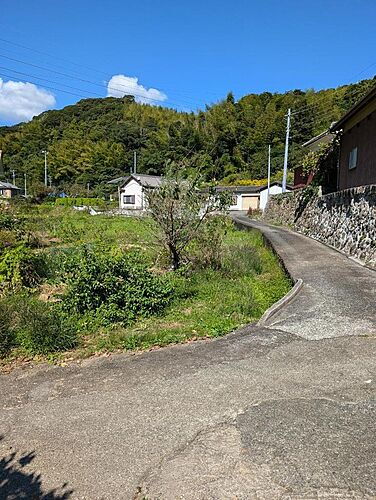 静岡県賀茂郡南伊豆町青市 土地