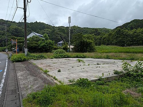 静岡県賀茂郡南伊豆町青市 土地