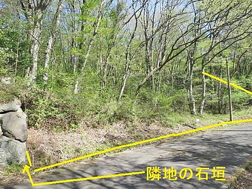 静岡県伊豆市柳瀬 土地