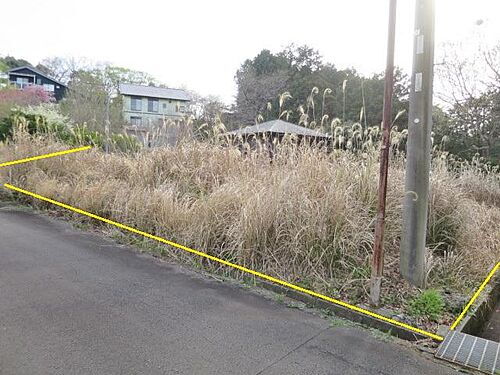 静岡県伊豆市下白岩 土地