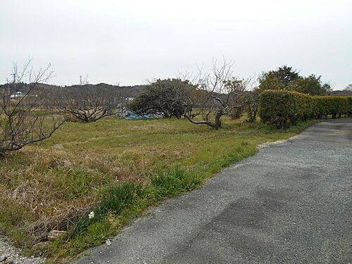 静岡県湖西市太田 686.44万円