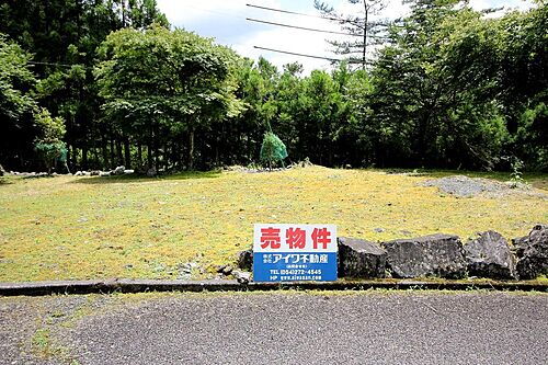静岡県静岡市葵区梅ケ島 100万円