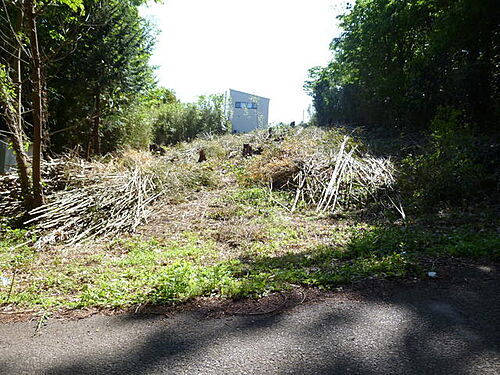 静岡県伊東市鎌田 土地