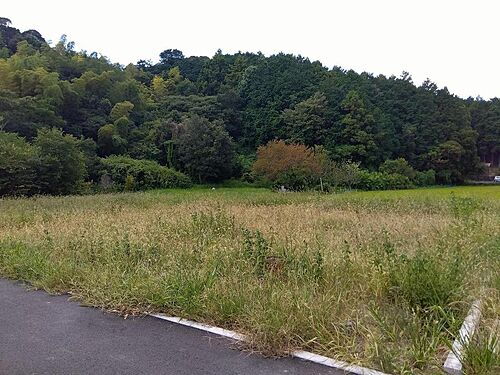 静岡県掛川市下垂木 土地