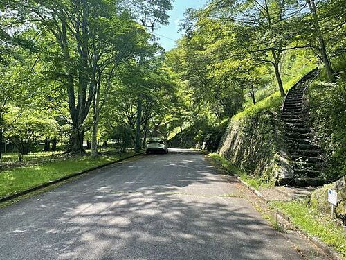 群馬県甘楽郡下仁田町大字西野牧 土地