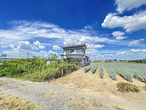 埼玉県吉川市大字上笹塚 土地
