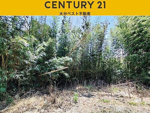 大分県臼杵市大字井村 土地