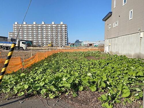 北海道江別市大麻北町 1300万円