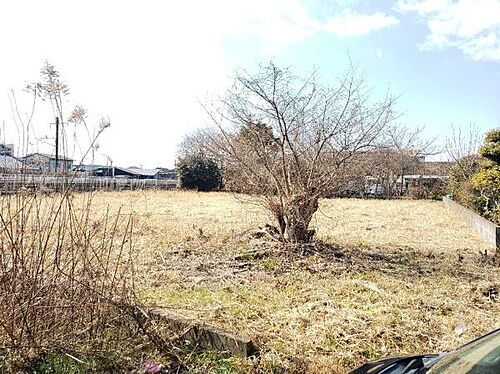 宮崎県都城市早水町 土地