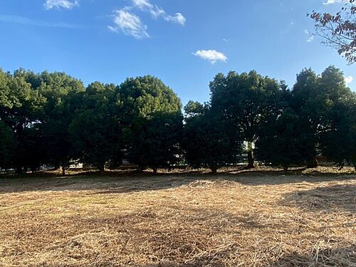 茨城県ひたちなか市大字後台 土地