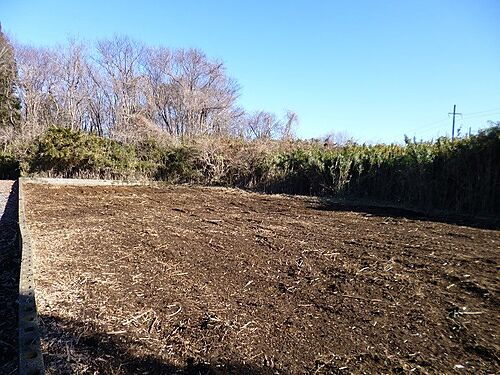 茨城県那珂郡東海村大字豊岡 土地