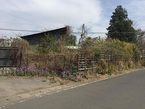 栃木県下都賀郡壬生町大字安塚 土地