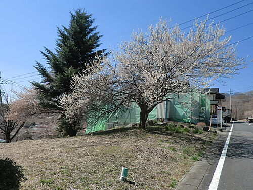 群馬県渋川市渋川 土地