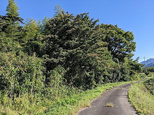 鳥取県西伯郡大山町豊房 土地