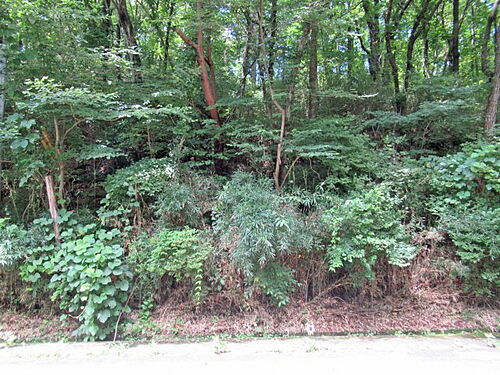 栃木県那須郡那須町大字高久丙 土地