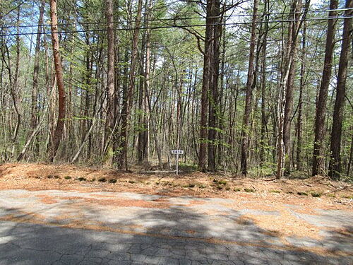 群馬県吾妻郡嬬恋村大字鎌原 土地