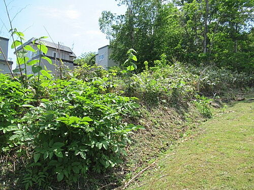 北海道小樽市若竹町 土地