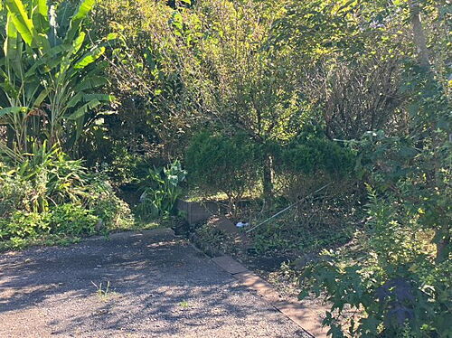 鹿児島県鹿屋市下高隈町 土地
