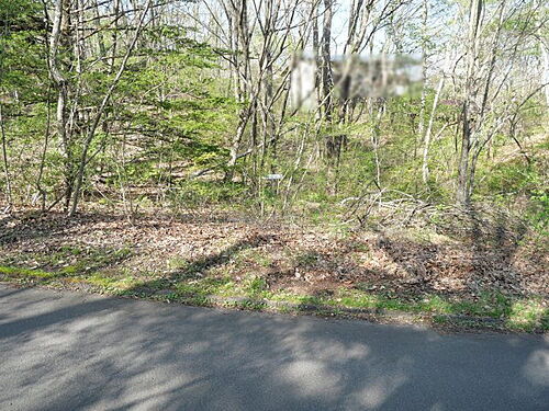 群馬県吾妻郡嬬恋村大字大前 土地